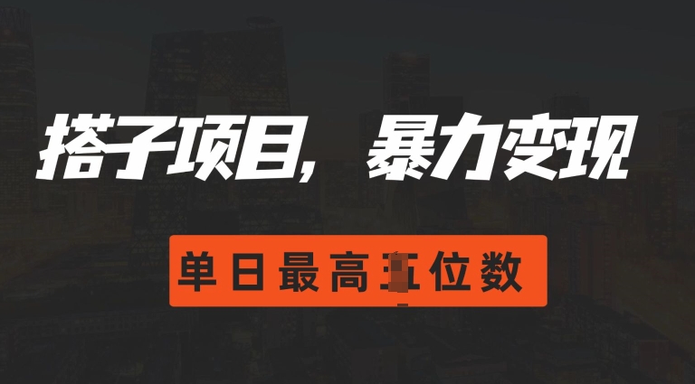 2024搭子玩法，0门槛，暴力变现，单日最高破四位数【揭秘】-观智斋电商课程站