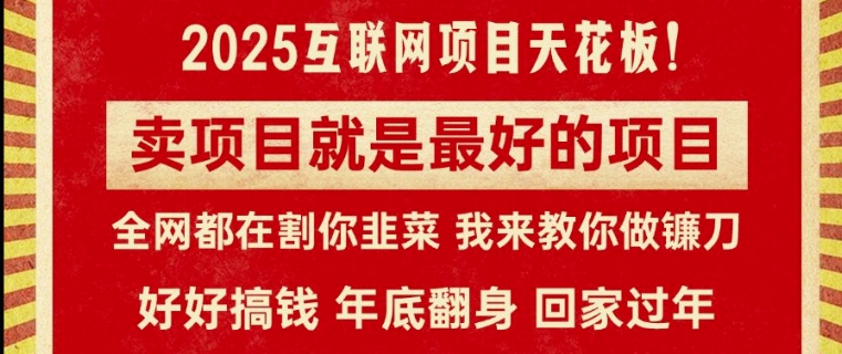 卖项目就是最好的项目，2025年互联网项目天花板-观智斋电商课程站