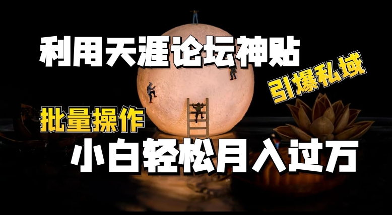 利用天涯论坛神贴，引爆私域，批量操作，小白轻松月入过w【揭秘】-观智斋电商课程站