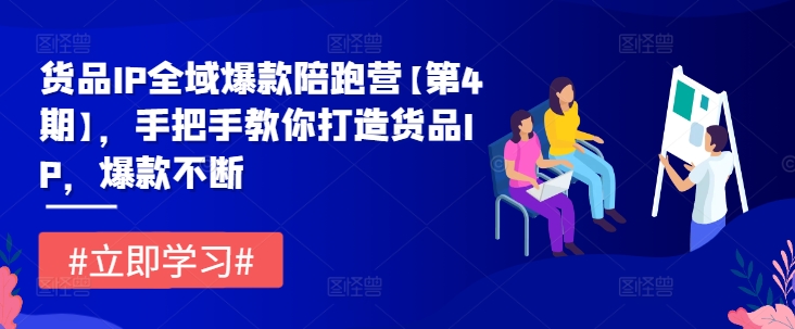 货品IP全域爆款陪跑营【第4期】，手把手教你打造货品IP，爆款不断-观智斋电商课程站