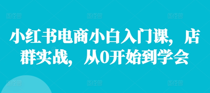 小红书电商小白入门课，店群实战，从0开始到学会-观智斋电商课程站