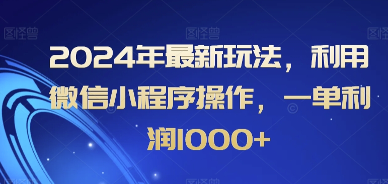 2024年最新玩法，利用微信小程序操作，一单利润1000+-观智斋电商课程站