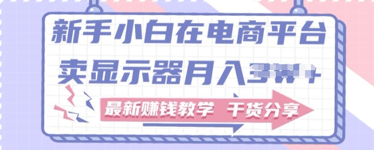 新手小白如何做到在电商平台卖显示器，最新赚钱教学干货分享-观智斋电商课程站