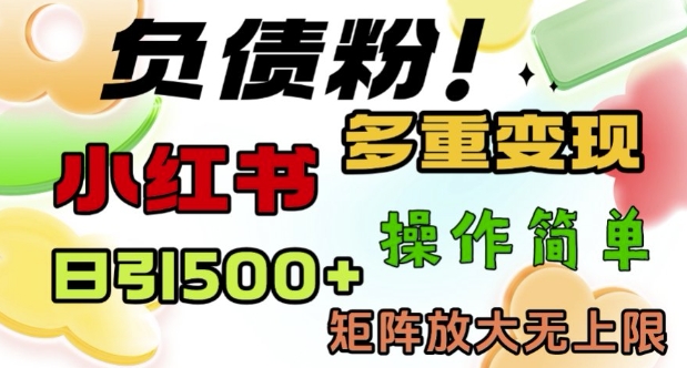 2月最新小红书日引500+负债粉，多重变现轻松过W，矩阵放大无上限-观智斋电商课程站
