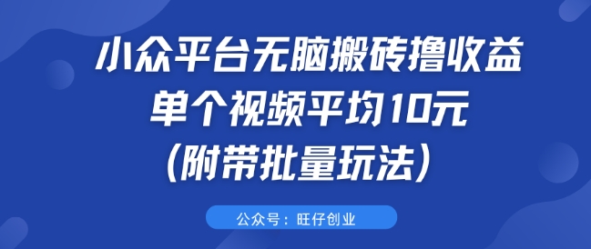 小众平台无脑搬砖撸收益 单个视频平均10元 (附带批量玩法)-观智斋电商课程站