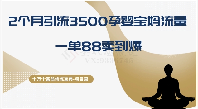 十万个富翁修炼宝典之13.2个月引流3500孕婴宝妈流量，一单88卖到爆-观智斋电商课程站