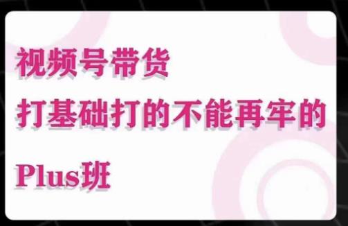 大播汇·视频号带货Puls班，视频号底层逻辑，起号自然流鱼塘等玩法-观智斋电商课程站