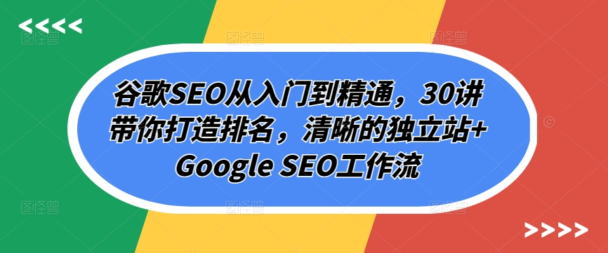 谷歌SEO从入门到精通，30讲带你打造排名，清晰的独立站+Google SEO工作流-观智斋电商课程站