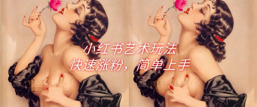 小红书艺术玩法，快速涨粉，简单上手-观智斋电商课程站