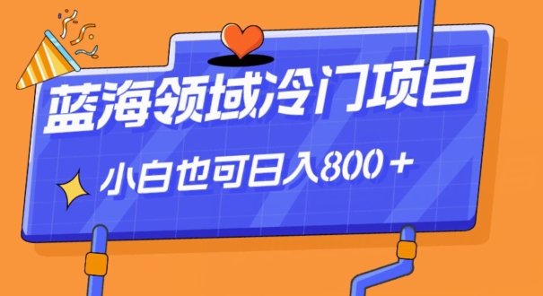 蓝海领域冷门赛道，一单39.9，日入800＋-观智斋电商课程站