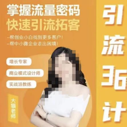 大猫·引流36计，掌握流量密码，快速引流拓客，帮创业小白找到更多客户，帮中小微企业走出困境-观智斋电商课程站