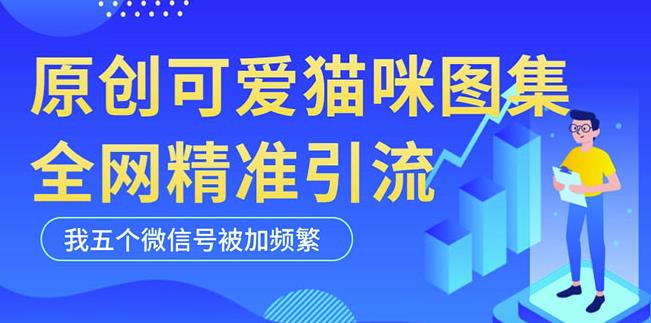黑科技纯原创可爱猫咪图片，全网精准引流，实操5个VX号被加频繁-观智斋电商课程站