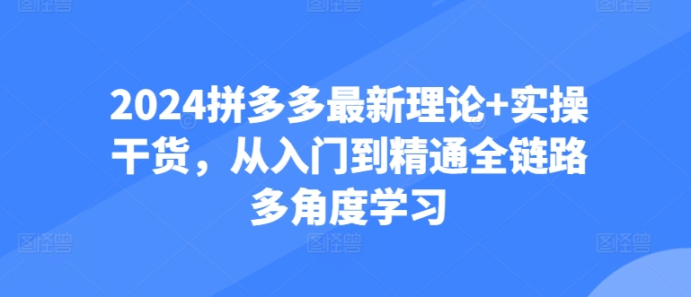 2024拼多多最新理论+实操干货，从入门到精通全链路多角度学习-观智斋电商课程站