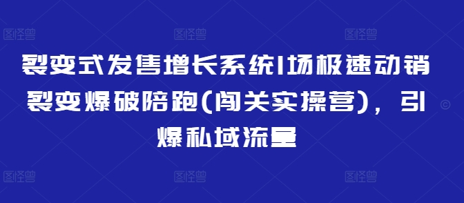 裂变式发售增长系统1场极速动销裂变爆破陪跑(闯关实操营)，引爆私域流量-观智斋电商课程站