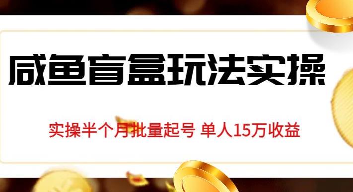 独家首发闲鱼盲盒玩法实操，半个月批量起号单人15万收益【揭秘】-观智斋电商课程站