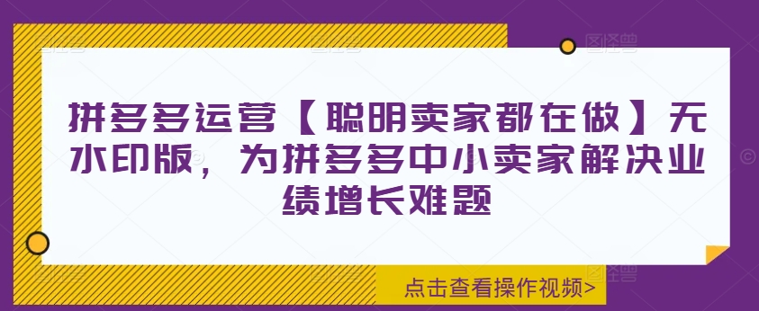拼多多运营【聪明卖家都在做】无水印版，为拼多多中小卖家解决业绩增长难题-观智斋电商课程站