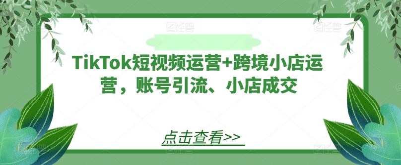 TikTok短视频运营+跨境小店运营，账号引流、小店成交-观智斋电商课程站