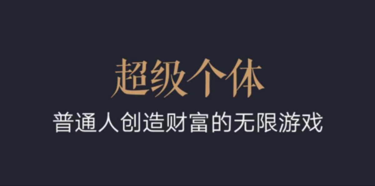 超级个体：2024-2025翻盘指南，普通人创造财富的无限游戏-观智斋电商课程站