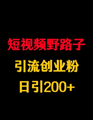 短视频野路子引流创业粉，日引200+-观智斋电商课程站