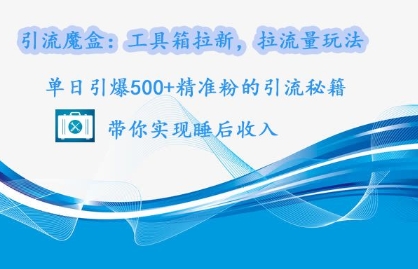 引流魔盒：工具箱拉新，拉流量玩法，单日引爆500+精准粉的引流秘籍-观智斋电商课程站