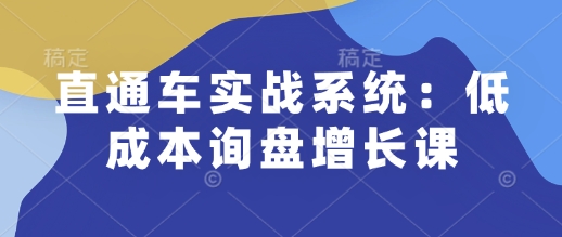 直通车实战系统：低成本询盘增长课，让个人通过技能实现升职加薪，让企业低成本获客，订单源源不断-观智斋电商课程站