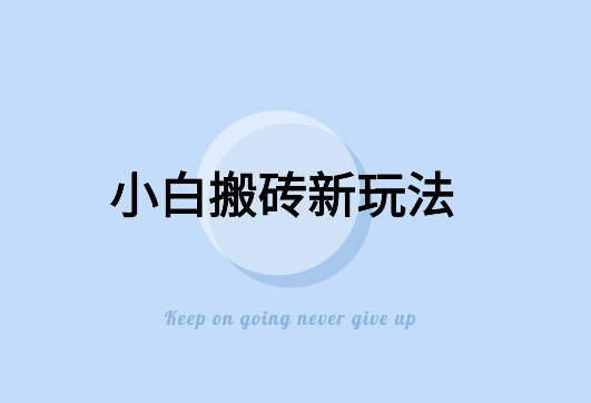 寻到大钱-全新搬砖玩法，小白也能轻松上手变现，日入500＋轻轻松松-观智斋电商课程站