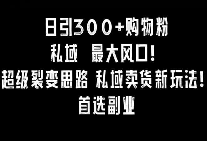 日引300+购物粉，超级裂变思路，私域卖货新玩法，小红书首选副业【揭秘】-观智斋电商课程站