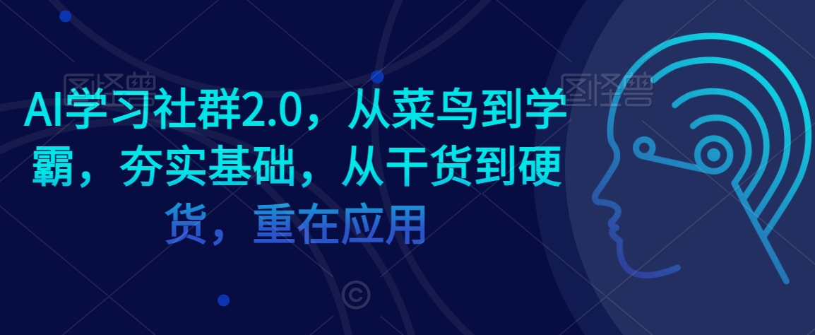AI学习社群2.0，从菜鸟到学霸，夯实基础，从干货到硬货，重在应用-观智斋电商课程站
