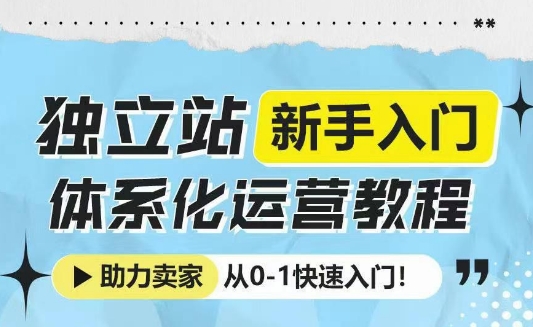 独立站新手入门体系化运营教程，助力独立站卖家从0-1快速入门!-观智斋电商课程站