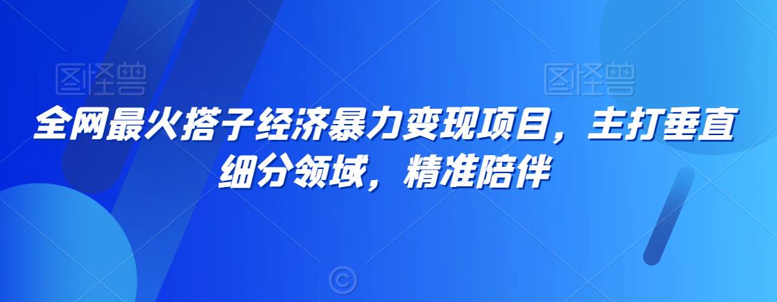 全网最火搭子经济暴力变现项目，主打垂直细分领域，精准陪伴【揭秘】-观智斋电商课程站