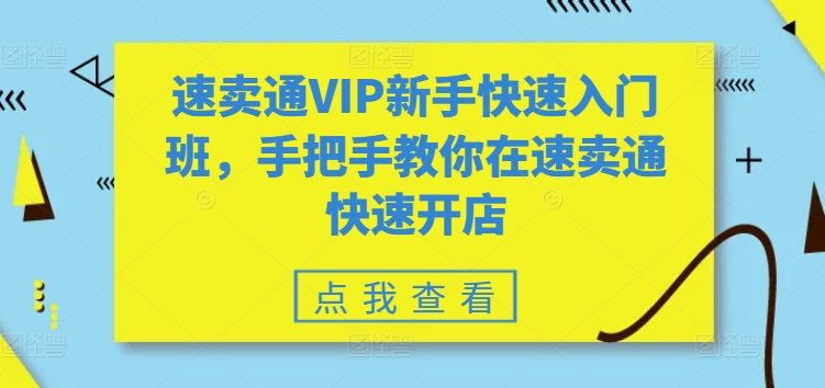 速卖通VIP新手快速入门班，手把手教你在速卖通快速开店-观智斋电商课程站