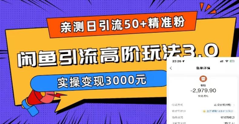亲测日引50+精准粉，闲鱼引流高阶玩法3.0，实操变现3000元【揭秘】-观智斋电商课程站