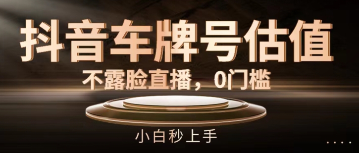抖音车牌号估值，不露脸直播，0门槛，小白秒上手【揭秘】-观智斋电商课程站