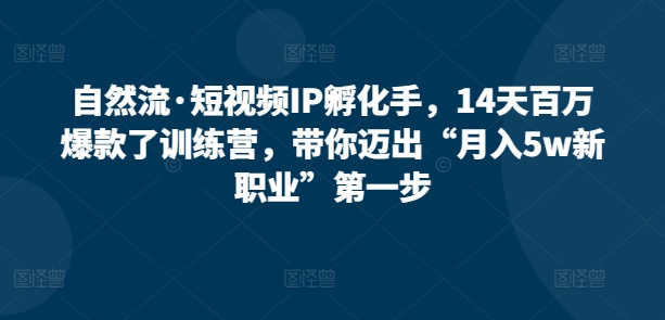 自然流·短视频IP孵化手，14天百万爆款了训练营，带你迈出“月入5w新职业”第一步-观智斋电商课程站