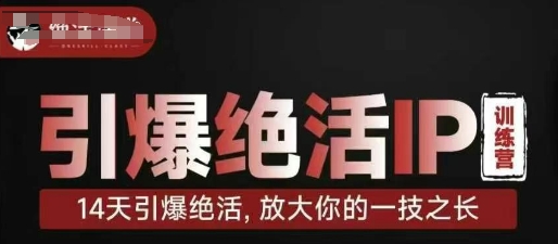 引爆绝活IP训练营，14天引爆绝活，放大你的一技之长-观智斋电商课程站