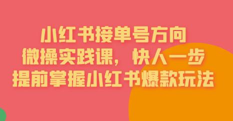 接单号方向·小红书微操实践课，快人一步，提前掌握小红书爆款玩法-观智斋电商课程站