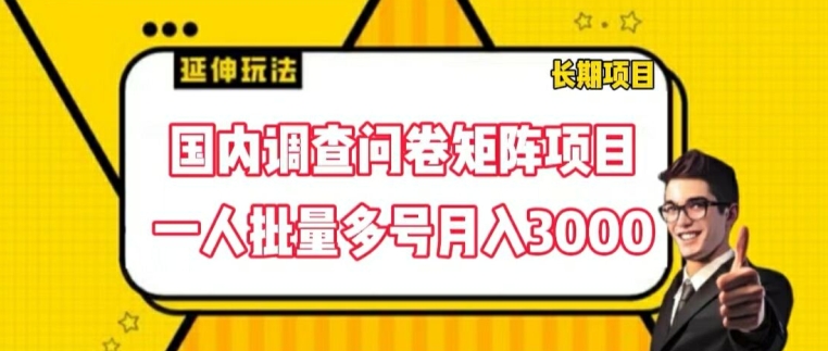 国内调查问卷矩阵项目，一人批量多号月入3000【揭秘】-观智斋电商课程站