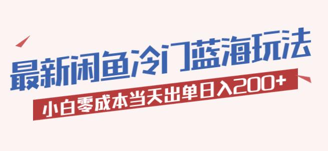 2023最新闲鱼冷门蓝海玩法，小白零成本当天出单日入200+【揭秘】-观智斋电商课程站