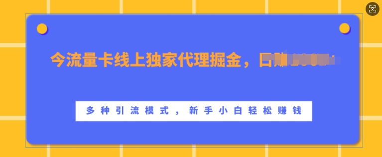 流量卡线上独家代理掘金，日入1k+ ，多种引流模式，新手小白轻松上手【揭秘】-观智斋电商课程站