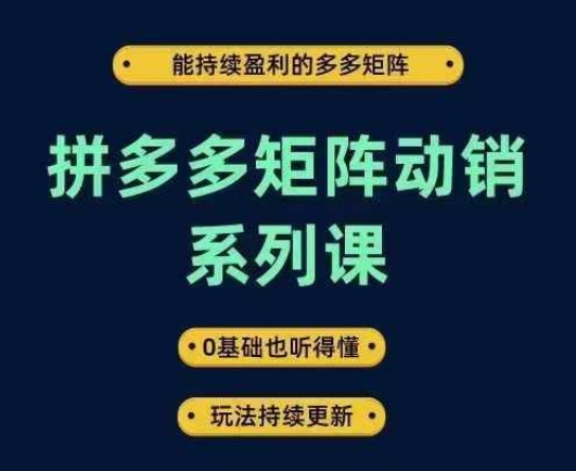 拼多多矩阵动销系列课，能持续盈利的多多矩阵，0基础也听得懂，玩法持续更新-观智斋电商课程站