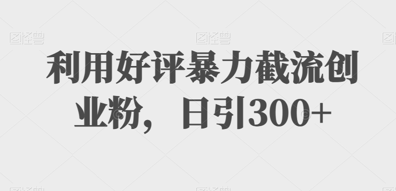 利用好评暴力截流创业粉，日引300+-观智斋电商课程站