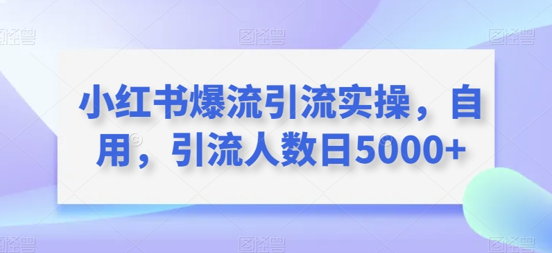 小红书爆流引流实操，自用，引流人数日5000+-观智斋电商课程站