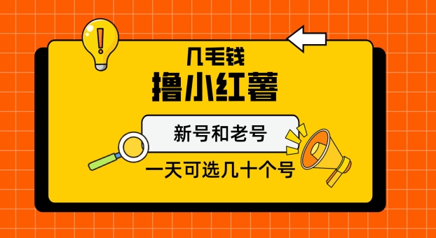 几毛钱撸小红书纯新号和老号，保姆级教程-观智斋电商课程站