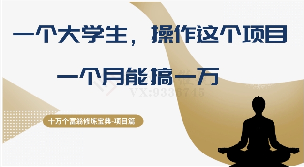 十万个富翁修炼宝典之4.一个大学生操作这个项目，一个月能搞一万-观智斋电商课程站