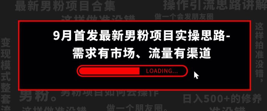 9月首发最新男粉项目实操思路-需求有市场，流量有渠道【揭秘】-观智斋电商课程站