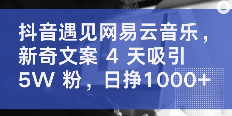 抖音遇见网易云音乐，新奇文案 4 天吸引 5W 粉，日挣1000+【揭秘】-观智斋电商课程站