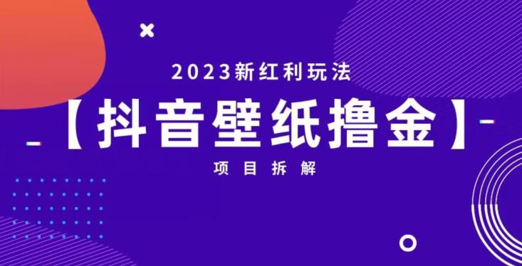 抖音壁纸小程序创作者撸金项目，2023新红利玩法【项目拆解】-观智斋电商课程站