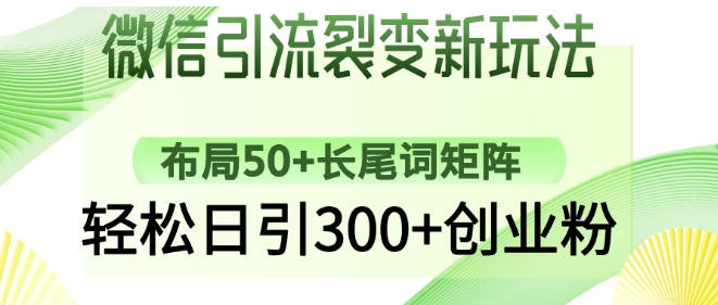 微信引流裂变新玩法：布局50+长尾词矩阵，轻松日引300+创业粉-观智斋电商课程站