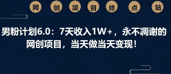 男粉计划6.0：7天收入1W+，永不凋谢的网创项目，当天做当天变现-观智斋电商课程站