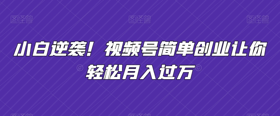 小白逆袭！视频号简单创业让你轻松月入过万-观智斋电商课程站